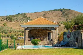 Vineyard Villa: Pool, Fast Wi-Fi, in Central Douro - Image 4