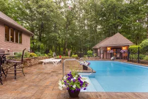 Timber Cottage -studio guest house, pet friendly. - Image 5