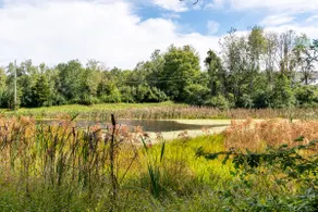 Your Summer Escape - Cozy Forest with Deck & Views - Image 3