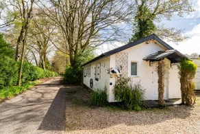 Peaceful cosy bungalow in a Devon woodland village - Image 2