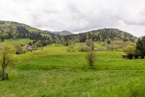 The MiCla - Your Black Forest home / sparrow's nest - Image 5