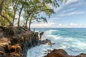 Oceanfront gated estate w/heated saltwater pool. - Image 3