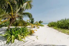 Tulum Bungalow Beachfront - Image 2