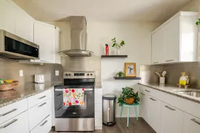 Tropical Casita in Tampa near airport and Raymond James stadium - Image 5