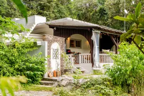 Nature Luxury Villa 〈Yama'oto 〉# primordial trees - Image 4