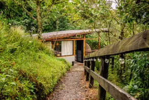 Amurai Glamping: El Arroyo Cabin - Image 5