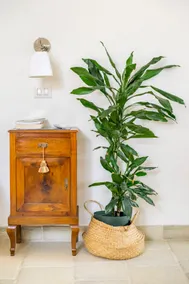 Casa aoom - Peaceful wellness stay near the sea - Image 3