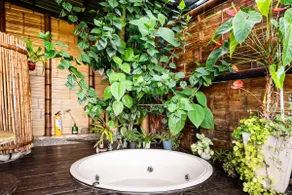 Glamping Type: Cabin with Jacuzzi near Salento - Image 3