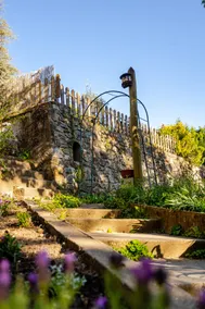 T3 in a green setting - Image 3