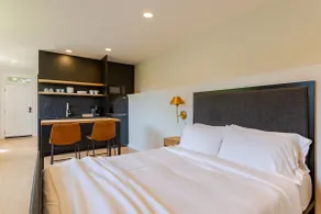 Mill Valley Stunning Studio - Image 3