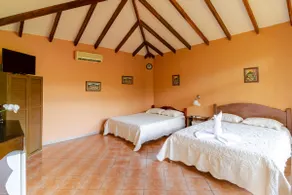 Cabin with a view of the volcano - Image 4