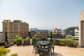 My house in Jeju (a stylish and wonderful loft with a gallery feel/Seogwipo sea and Hallasan Embraced by a rooftop garden) - Image 5