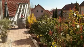 Nuova casa vacanza tra boschi e vigneti nei pressi di Freinsheim - Image 5