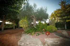 Rural house, pool, beach tennis and 2500m of garden - Image 4