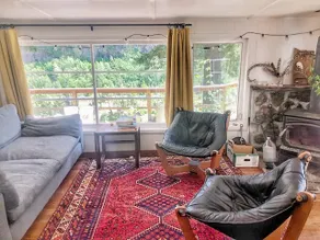 Sweet Little River Cabin in the Trees, HOT TUB!! - Image 3