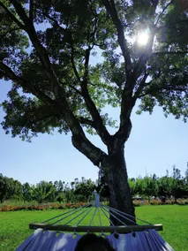 Apartment Sulcis Sardinia - Image 5
