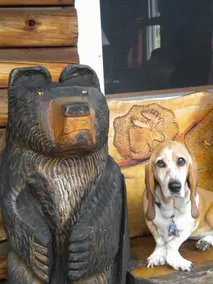 Memories Cabin - Image 5