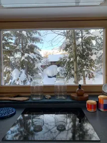 Chalet Anton: an oasis in the greenery and snow - Image 3