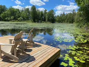 Little Blue Heron Cottage - Image 4