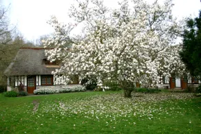Cottage for 4 people with hot tub, sauna and pool - Image 4