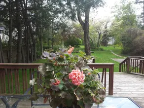 Saugerties Village Garden Retreat - Image 3