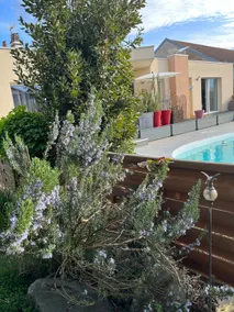 Lovely little guest house - Image 5
