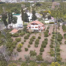 Villa Avocado in the mandarin garden in Özderesi - Image 5
