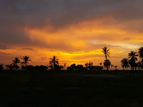 Wera Beach Villa kelapa - Image 5