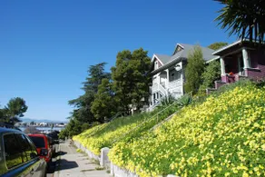 Boutique Bungalow One-Waterfront, SF Ferry, Napa - Image 3