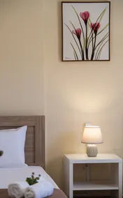 Brand New Apartment 15 mins from Town - Image 4
