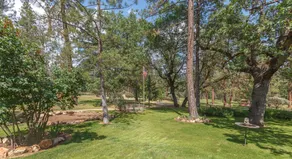 Luxury Family Lodge Near Yosemite – Pool, Hot Tub, Game Room, Ponies! - Image 3