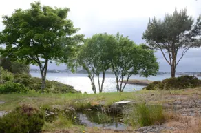 Villa Vassøy - Image 4