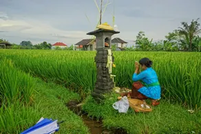 Sukrawan Ubud Villa - Image 5