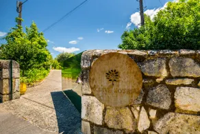 Casa de Campo – Olive House - Image 2