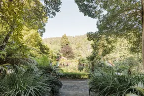 Take in Valley Views from a Comfortable Guest Suite - Image 3