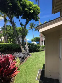 A bit of Hawai'i Paradise steps from the ocean! - Image 4
