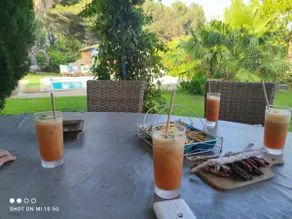 Provencal villa, swimming pool, 3 air-conditioned bedrooms - Image 2