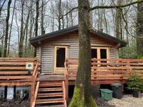 Hedgehog Lodge - Luxury Lodge with private hot tub - Image 2