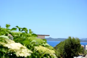 House surrounded with trees and gardens. - Image 5