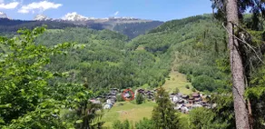 Casa Cuschina - mit Sauna in der schönen Surselva - Image 4