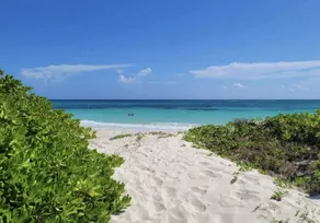 Ocean Dreams Villa - Image 3
