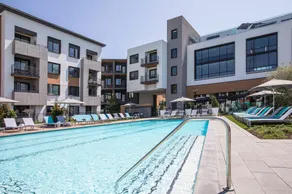 Luxury 2BR Apt near Tech Companies and Stanford - Image 2