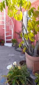 Get in touch with nature, visit QRO - Image 2