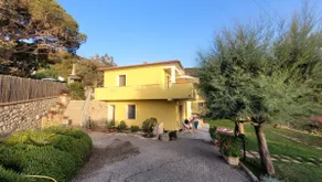 Casa Olivo - Punta Polveraia Vacation Home - Image 4