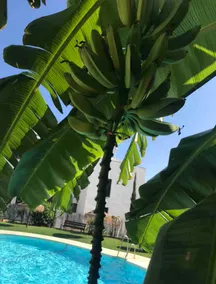 Centrally located in La Cala, room for 5 - Image 2