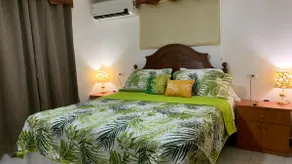 Palm Tree Room - Image 3