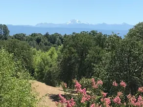 Redding Retreat Ranch - Image 2