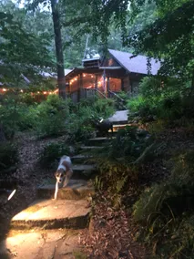 Historic Mountain Cabin in Beautiful Lake Rabun - Image 3