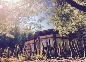 The Tebito Lodge. Beach & Forest. Glamping - Image 2