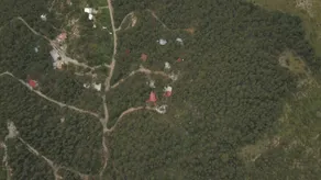 Lions king cabin woods - Image 3
